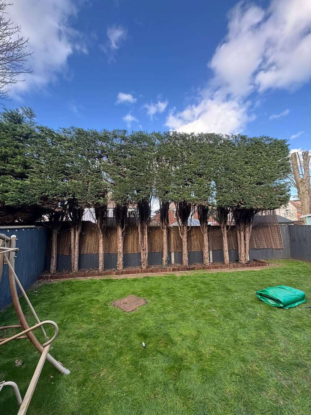 Tree Surgeon in Banbury: Pruning, Removal and Stump Grinding Across North Oxfordshire