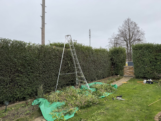 Hedge Maintenance